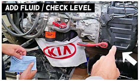 How To Check Transmission Fluid Kia Sorento 2014 - Haiper