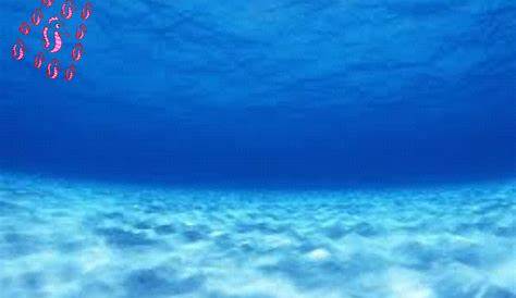 Animated Ocean Gif Background