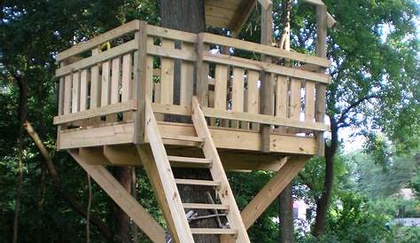 Kids Tree House 34+ Free Diy Fort Plans That Make Your Neighbor Jealous