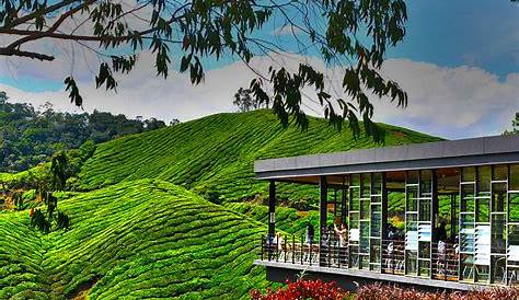 Kl To Cameron Highlands : An Overview And Map Of The Cameron Highlands