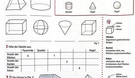 Körpernetze Arbeitsblätter Klasse 5 - Mark Clifford Schule