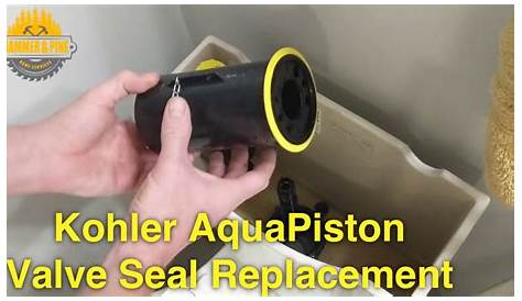 Kohler Aquapiston Repair Kit