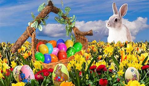 Grüße zu Ostern und schöne Feiertage. Ostern. Bilder und Grusskarten