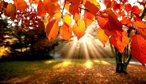 Hintergrundbild Herbst Landschaft ~ Sammlung von Tapeten