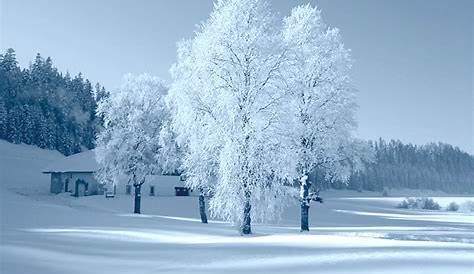 Winterbilder Zum Ausdrucken - kinderbilder.download | kinderbilder.download