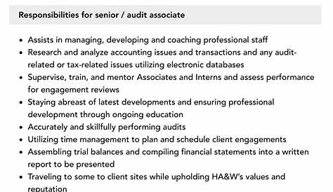 Senior / Audit Associate Job Description | Velvet Jobs