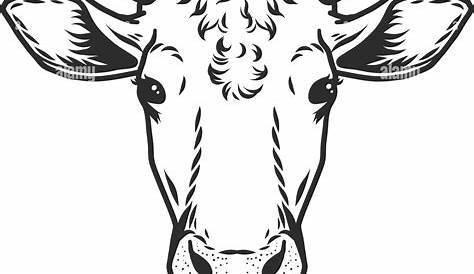 Umriss-Kuh-Kopf-Tier Vektor Abbildung - Bild: 138499500 - Alamy