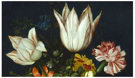 Curiosidades XV: el Tulipán, Tulipomanía y su crisis - Mi Jardín Ibérico