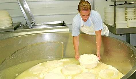 Fabbricazione Del Formaggio Tradizionale in Una Piccola Produzione Mak