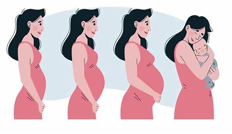 el embarazo precoz en los adolecentes : EL EMBARAZO PRECOZ