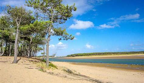 La plage du Veillon - Talmont Saint Hilaire - Camping les Dinosaures