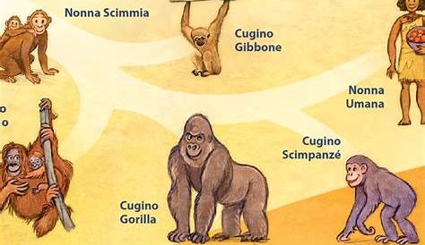 maestra Chiara: L'EVOLUZIONE DELL'UOMO