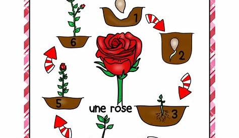 La Vie en Rose picture