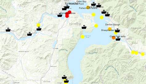 Lake Pend Oreille Walleye Update Idaho Fish and Game