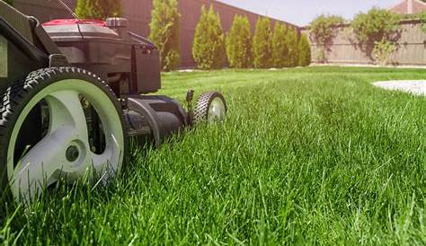 Top 10 Things to Know About Your Commercial Landscape Management