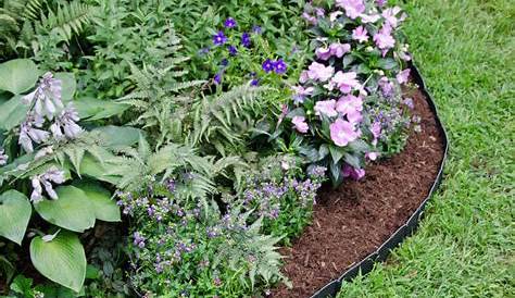 Landscaping Plastic Edging Ideas * Landscape Buy Online & Save Free Delivery New Zealand