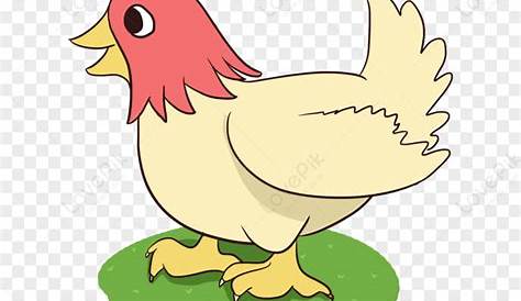Hand Drawn Poultry Chick Illustration PNG Transparent Image And Clipart