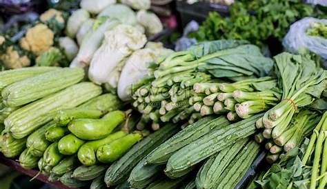 VEGETABLE FARMING BUSINESS: PARAAN NG PAGTATANIM NG GULAY SA BAKURAN