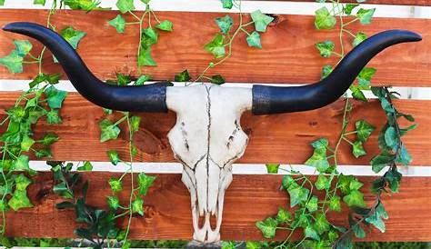 Homestead Cow Skull Wall Decor Large – Allissias Attic | Skull wall