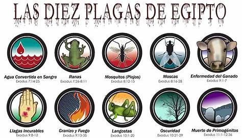 Las Plagas de Egipto | Bible facts, Plagues of egypt, 10 plagues