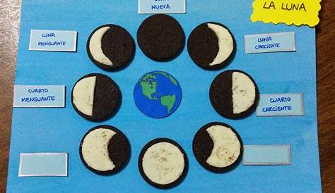 Tortugas y Búhos.: fases de la luna con galletas oreo