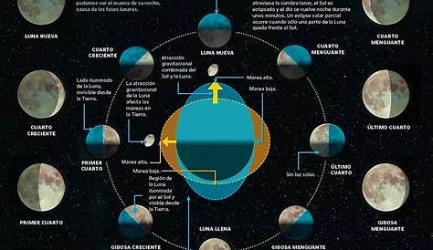 Las fases de la luna - Infografía. | Fases de la luna, Ritual de luna