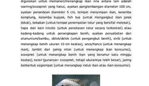 Pembesaran Ikan Nila