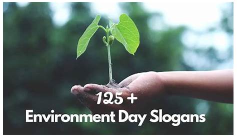 117 Catchy Slogans on Environment in 2021 | Environment day quotes