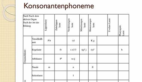 Die Sprachlaute II: Konsonanten