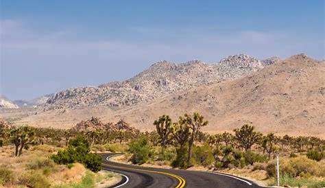 Joshua Tree National Park in the Winter - Travel Guide