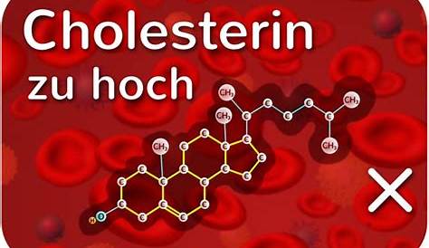 ᐅ LDL-Cholesterin: das bedeutet der Laborwert - Erklärung & Auswirkung