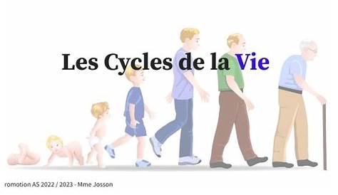 Cycles De Vie Des Animaux | Parlons Sciences encequiconcerne Le Cycle