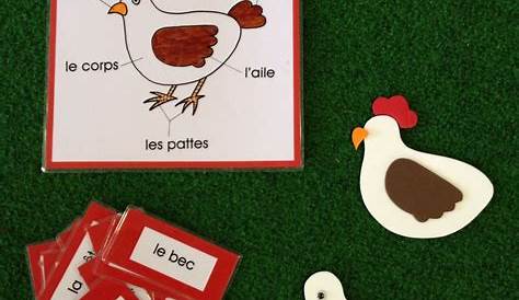 Carte de France et fiches des différentes races de poules | Poule