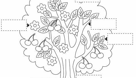 Le parti dell'albero: scheda illustrata per la scuola primaria da