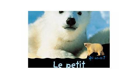 Le petit ours blanc - cartonné - Valérie Guidoux - Achat Livre | fnac