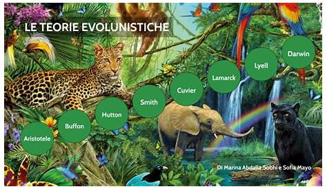 TEORIE EVOLUZIONISTICHE - Coggle Diagram