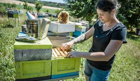 Le rucher de la Dame Blanche – Les trésors de la ruche en Touraine