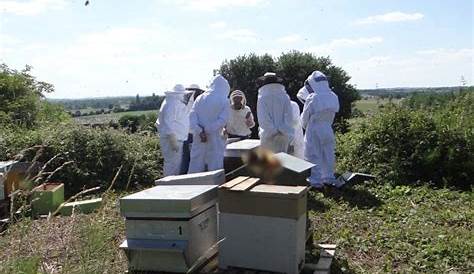 Découvrir l’apiculture au rucher du moulin d’Eschviller – Atelier – Aile²