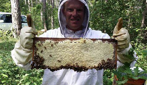 Syndicat des apiculteurs de Metz & environs – Rucher école Ogy-Montoy