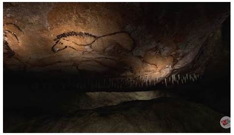 Vidéo | Visite de la grotte Cosquer avant son ouverture au public