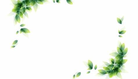 Flowers Borders PNG Image | PNG All