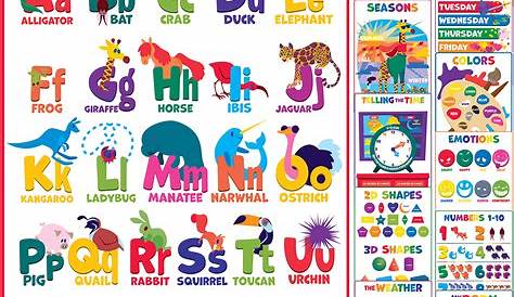 Buy Youngever 13 Pack Laminated Educational Preschool Posters for