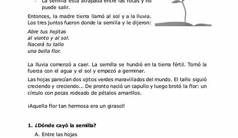 Ejercicios de comprension de lectura 4 grado primaria