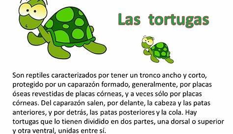 La tortuga Nana – Comprensión Lectora (1.º de Primaria) | Comprensión