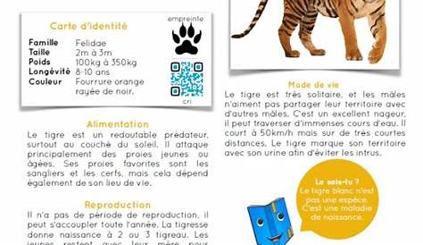 [Rallye-lecture.fr] Documentaires animaliers en ligne | Documentaire