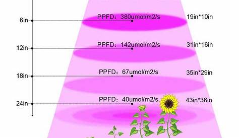 Led Grow Light Lumens Chart 11 Easy Guidelines To Know Before Buying s