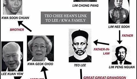 Singapore PM Lee Hsien Loong family feud erupts again - BBC News
