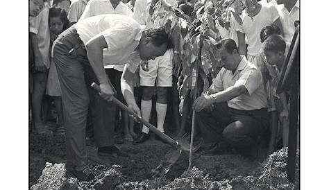 Singapore starts tree planting drive to mark 100th birth anniversary of
