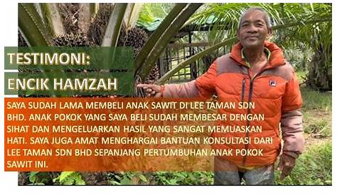 Lee Taman Sdn Bhd (Oil Palm Plantation) - Sell anak kelapa sawit di