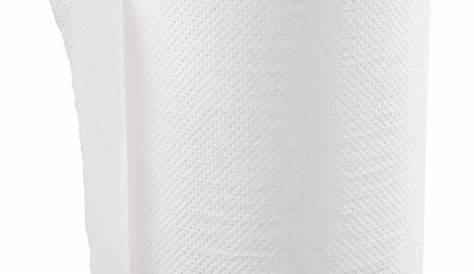 Paper Towel Roll, Pacific Blue Basic(TM), Hardwound